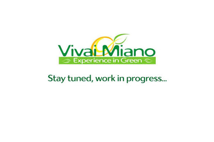 Pianta di Calamondino (vaso - 35)